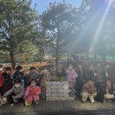 안성자연유치원 이미지