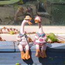 선현농장 이미지