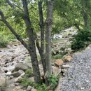 우금자락 이미지