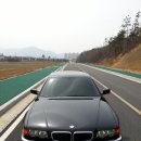 벚꽃엔딩... (BMW, 740 iL) 이미지