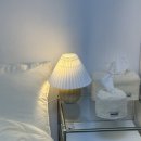 푸파501 이미지