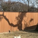 니니스테이 이미지