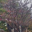 이삼공원 이미지
