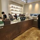 헤일로92 이미지