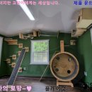 고양이 주택 이미지