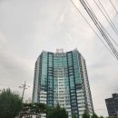 고시정 | 신도림역고깃집 고시정, 직접 구워주는 주먹고기 맛집!