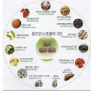 (주)비앤에이치코리아 이미지