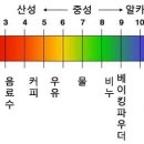 화산식품