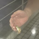 로스윌서울이싫어내려온치과의원 | 시험이랑 권태기 왔다••