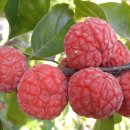 아름다운밀양농장 이미지