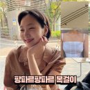 팡파르팡파르
