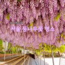 창림초등학교 이미지