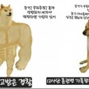 무죄 증거는 뭉개고 무고한 남자들만 조지는 경찰 이미지