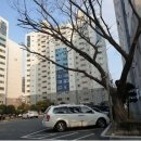 하단동108 이미지