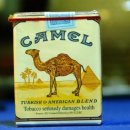 카멜 이미지