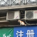 황제비즈니스룸 네이버블로그
