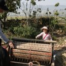 박순석농장 이미지