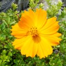 카톨릭병원 이미지