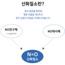 더쉼한방신경정신과한의원 | [보폐고 엔오] 우리가족 호흡기 보약