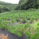 빈이랑은이랑 이미지