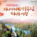 엔조이여행사