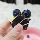 여수언니 봄날엔 신제품 &#39;초코퐁당 요거꿀떡&#39;과 할매니얼 시리즈 &#39;고구마케이크떡&#39; 후기!_내돈내산
