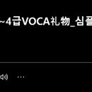 新HSK 1~4급 VOCA 리우 이미지