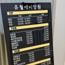 강아지미장원 | 광교중앙역 미용실 추천,중단발 레이어드펌 잘하는 곳 유월애미장원 수원광교점