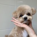 러브몽먼트 이미지