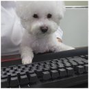 감명세무회계