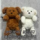 11월 정산