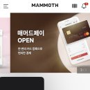매머드익스프레스영통