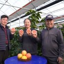 함덕농업협동조합 이미지