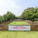 댕댕 쉼터 이미지