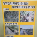 김용환농장 이미지