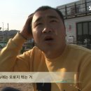 민지 농장 이미지