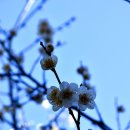 군외초등학교 이미지