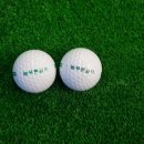 늘푸른 골프 이미지