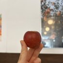 맨유 키즈 유니폼 사고 카멜커피 마시며 보낸 주말, 토이스토리5 개봉 기다리기