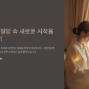 개인 파산신청