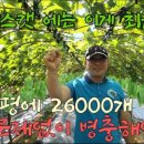 흥농상회 이미지