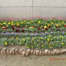 연희회관 이미지