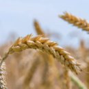 화곡8동주민센터 이미지