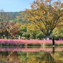 가산수피아 이미지