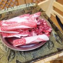 암소제비추리 이미지