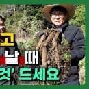 몸이 결리고 땡기고 쥐 날 때 반드시 &#39;이것&#39; 드세요 이미지