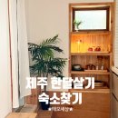 제주촌캉스 | 제주 숙박ㅣ한달살기 숙소 찾기 총정리