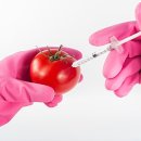 “GMO 완전표시제 도입되면 식품 가격 상승, 소비자 부담 증가로 직결될 것”