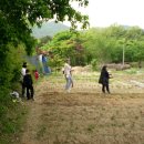 호매실초등학교 이미지