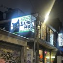 나의 집사 | 홍대 고양이카페 실내 데이트 추천, 집사의하루 연남점 후기